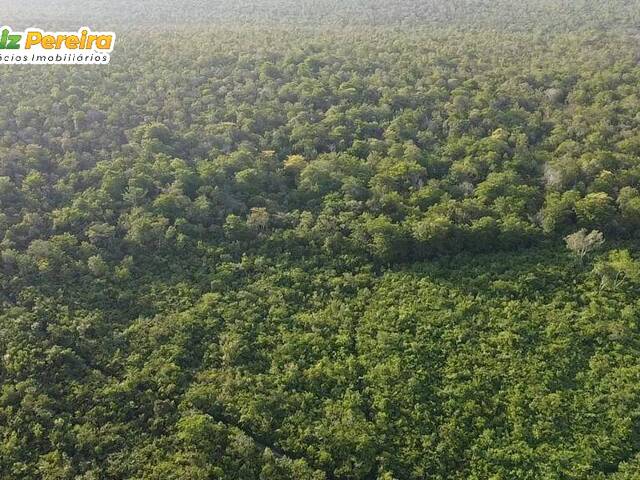 Venda em Zona Rural - Mirador