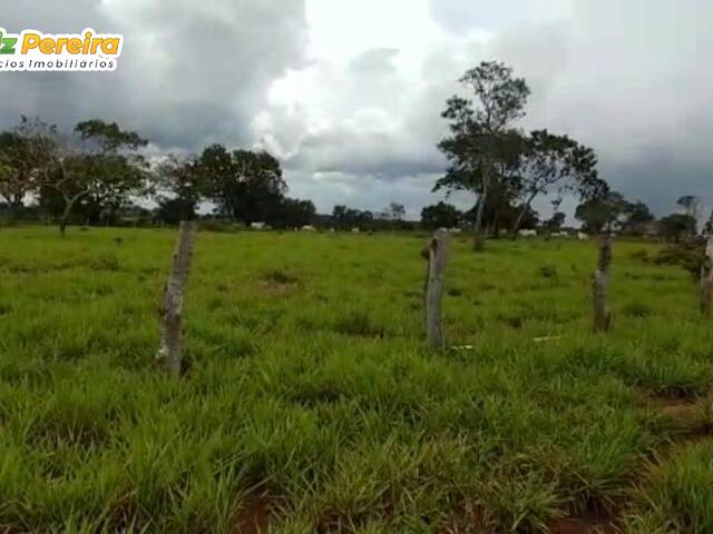 #2414 - Fazenda para Venda em Piraquê - TO