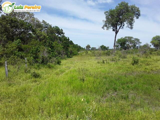 #2429 - Fazenda para Venda em Aquidauana - MS - 2