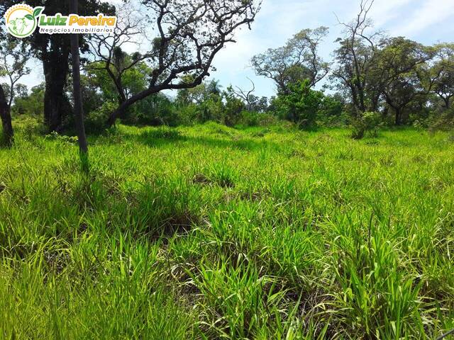 #2429 - Fazenda para Venda em Aquidauana - MS