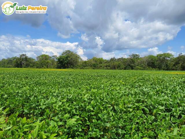 #2227 - Fazenda para Venda em Pedro Afonso - TO - 2