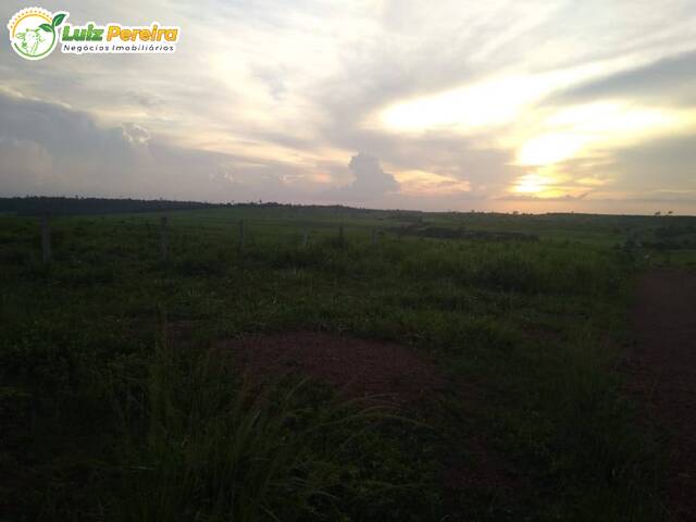 #2367 - Fazenda para Venda em Goianésia do Pará - PA - 3