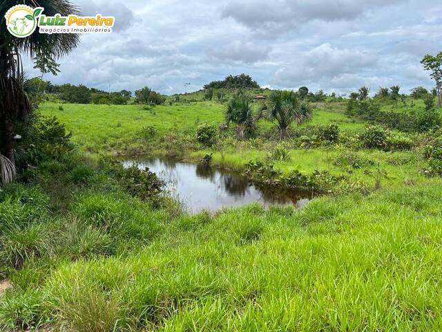 #2430 - Fazenda para Venda em Pacajá - PA - 1