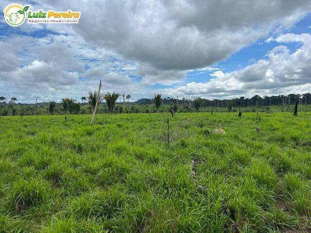 #2430 - Fazenda para Venda em Pacajá - PA - 3