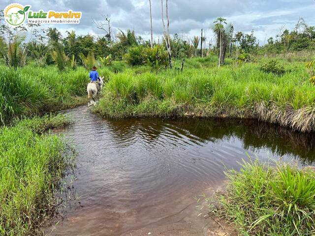 #2430 - Fazenda para Venda em Pacajá - PA - 2