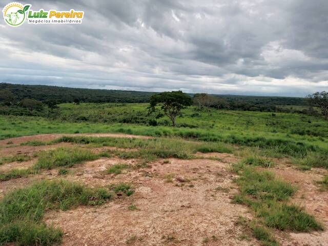 #2435 - Fazenda para Venda em Santa Maria do Tocantins - TO - 1