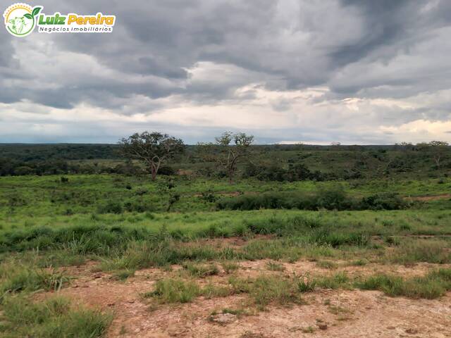 #2435 - Fazenda para Venda em Santa Maria do Tocantins - TO - 2