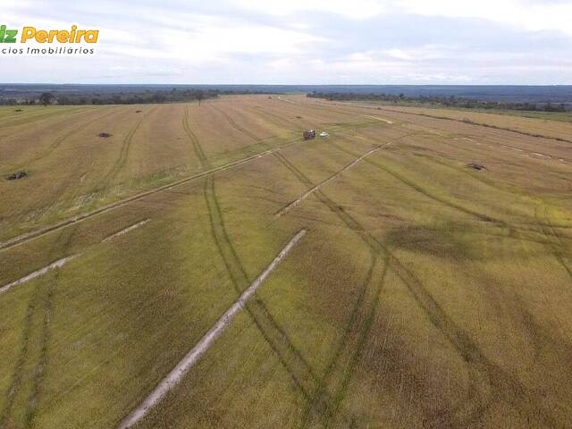 #2436 - Fazenda para Venda em Centenário - TO - 3