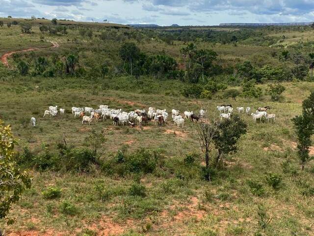 #2436 - Fazenda para Venda em Centenário - TO - 1