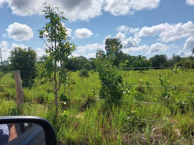 #2437 - Fazenda para Venda em Filadélfia - TO - 2