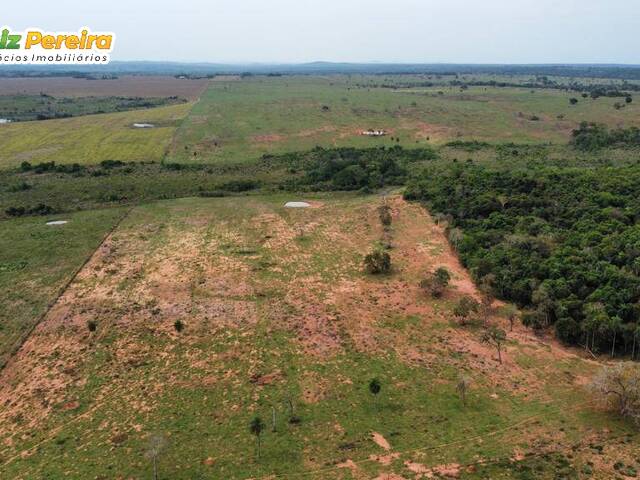 #2440 - Fazenda para Venda em Bonito - MS - 1