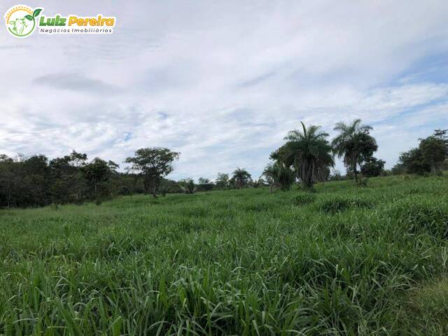 #2441 - Fazenda para Venda em Peixe - TO - 2