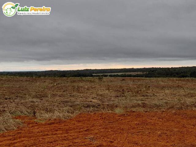 #2443 - Fazenda para Venda em Colinas - MA