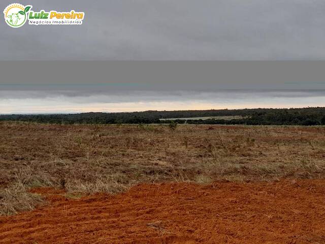 #2443 - Fazenda para Venda em Colinas - MA - 2