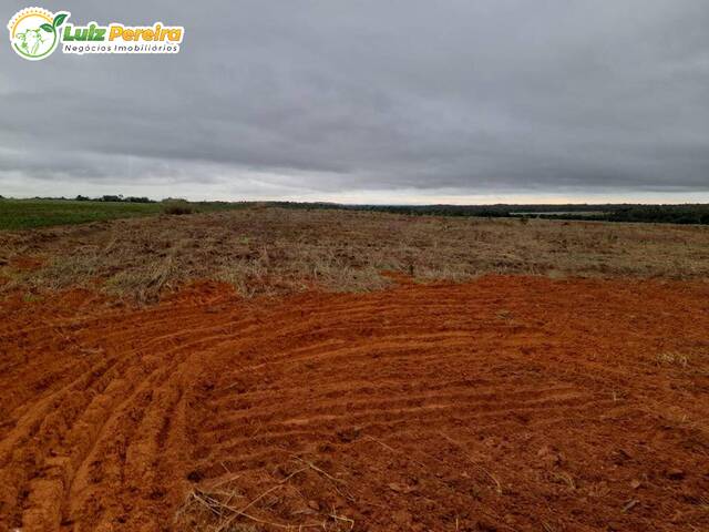 #2443 - Fazenda para Venda em Colinas - MA - 3