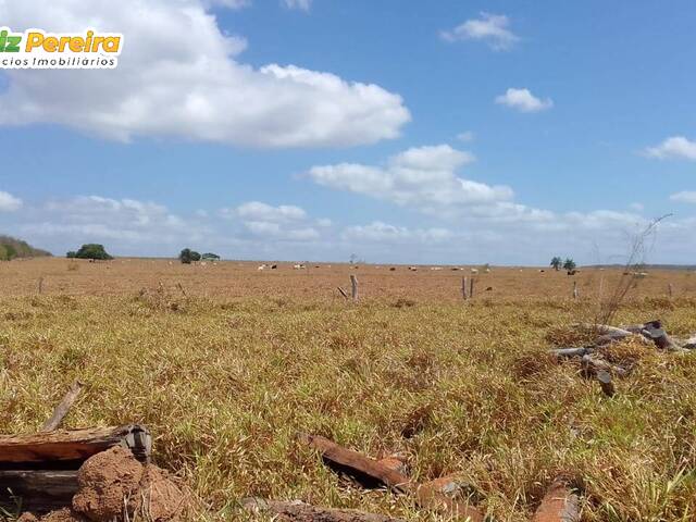 #2445 - Fazenda para Venda em Barra do Corda - MA - 2