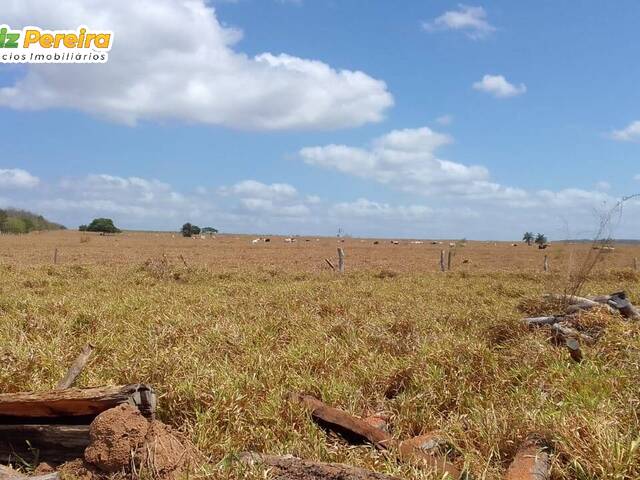 #2445 - Fazenda para Venda em Barra do Corda - MA - 3