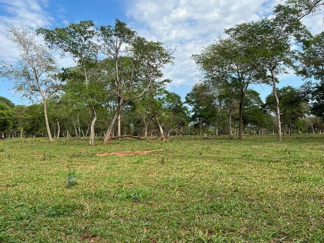#2446 - Fazenda para Venda em Nioaque - MS - 2