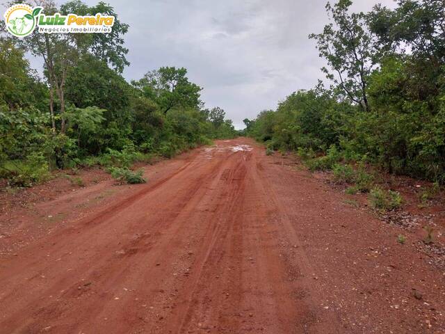 #2447 - Fazenda para Venda em São Valério da Natividade - TO - 2