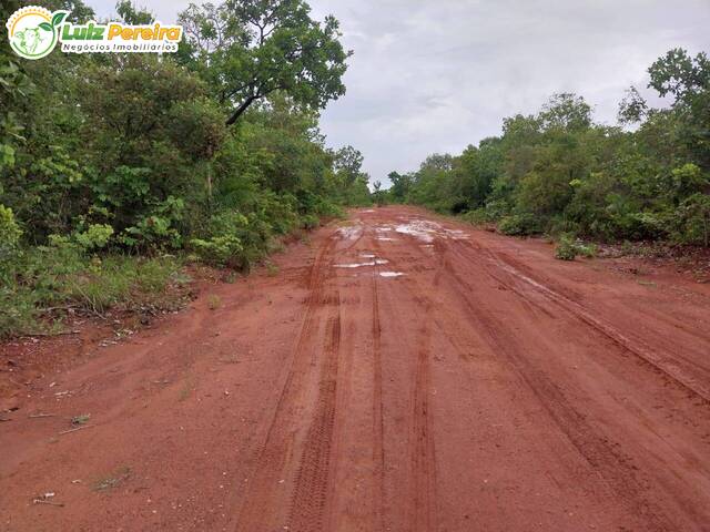 #2447 - Fazenda para Venda em São Valério da Natividade - TO - 3