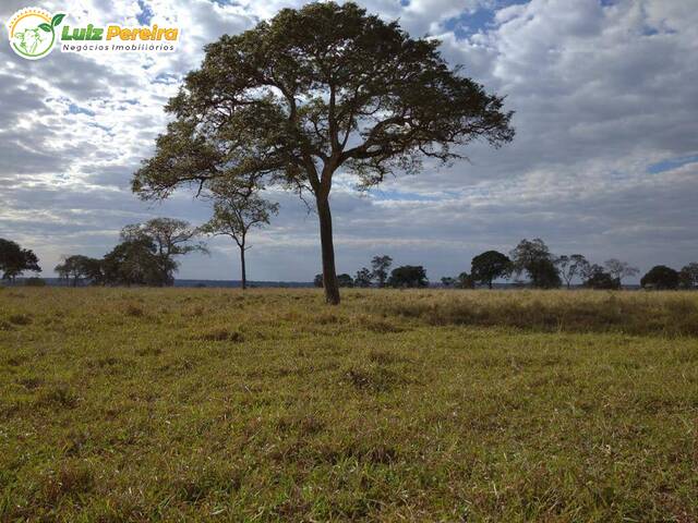 #2449 - Fazenda para Venda em Nioaque - MS - 2