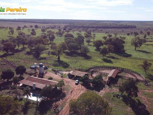 #2450 - Fazenda para Venda em Nioaque - MS