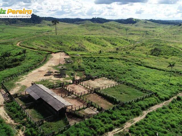 #2451 - Fazenda para Venda em Pacajá - PA