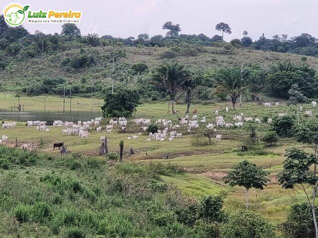 #2431 - Fazenda para Venda em Tucuruí - PA - 1