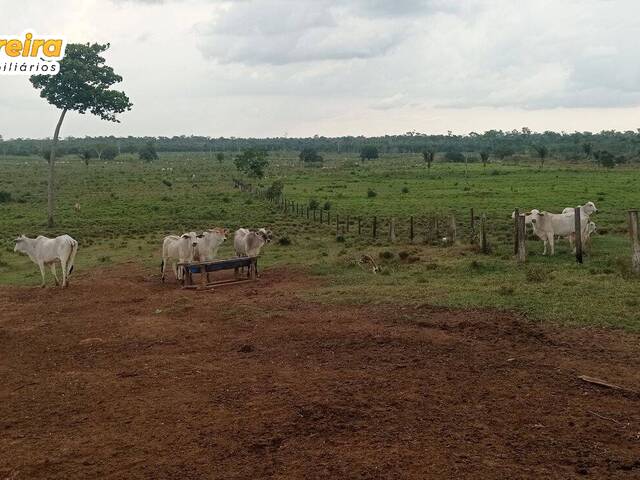 #2452 - Fazenda para Venda em Jacundá - PA - 1