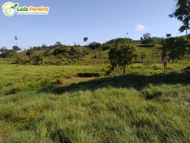 #2453 - Fazenda para Venda em Pacajá - PA - 2