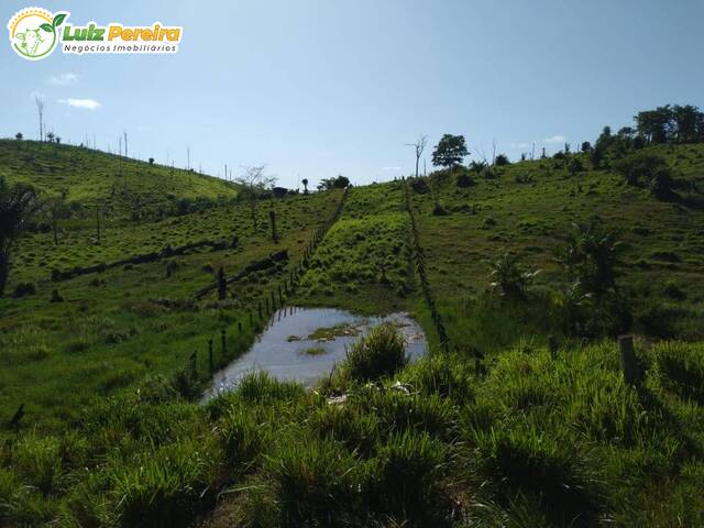 #2453 - Fazenda para Venda em Pacajá - PA - 3