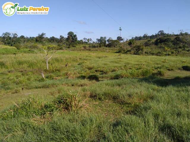 #2453 - Fazenda para Venda em Pacajá - PA