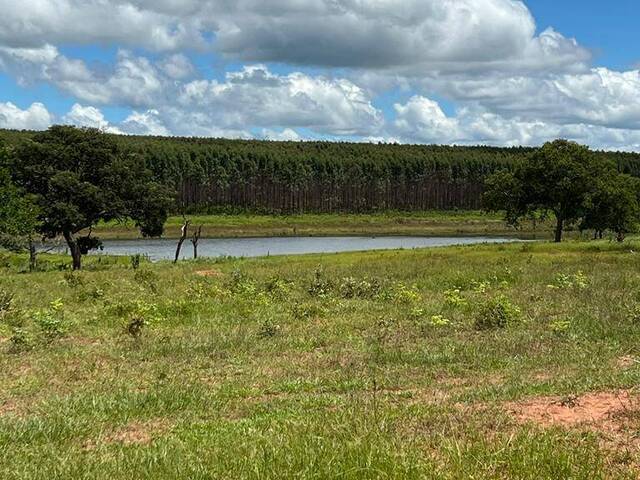 #2455 - Fazenda para Venda em Ribas do Rio Pardo - MS - 3