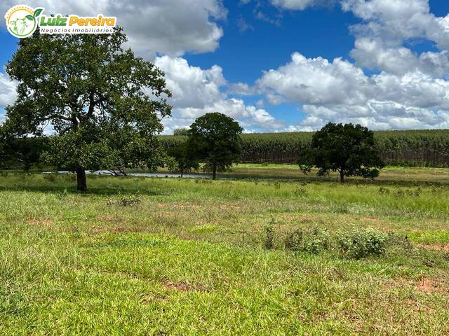 #2455 - Fazenda para Venda em Ribas do Rio Pardo - MS - 1