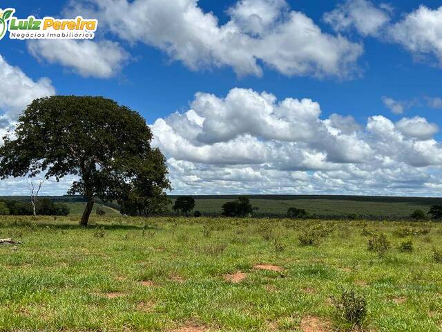 #2455 - Fazenda para Venda em Ribas do Rio Pardo - MS - 2