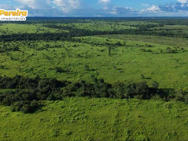 #2456 - Fazenda para Venda em Araguaína - TO - 3