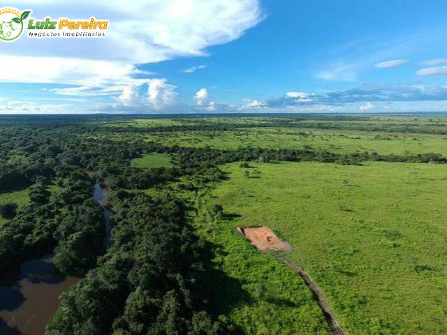 #2456 - Fazenda para Venda em Araguaína - TO