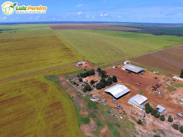 #2457 - Fazenda para Venda em Carolina - MA - 1