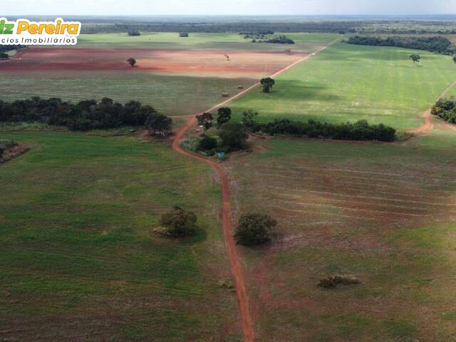 #2459 - Fazenda para Venda em Formoso do Araguaia - TO - 2