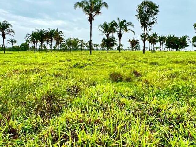 #2460 - Fazenda para Venda em Xambioá - TO - 3