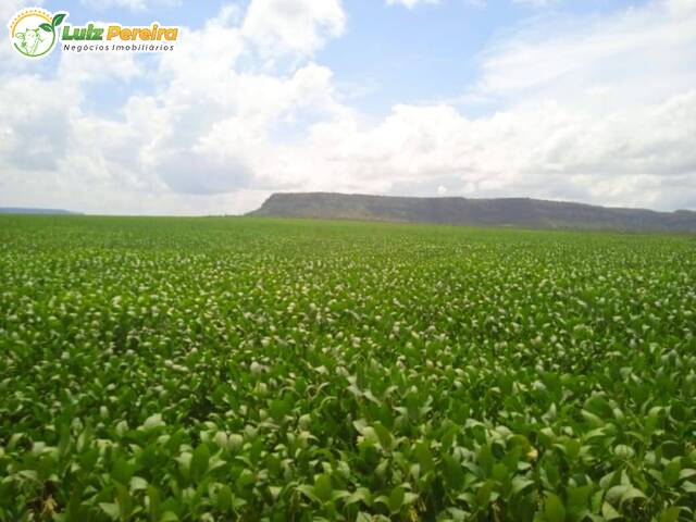 #2461 - Fazenda para Venda em Balsas - MA - 1