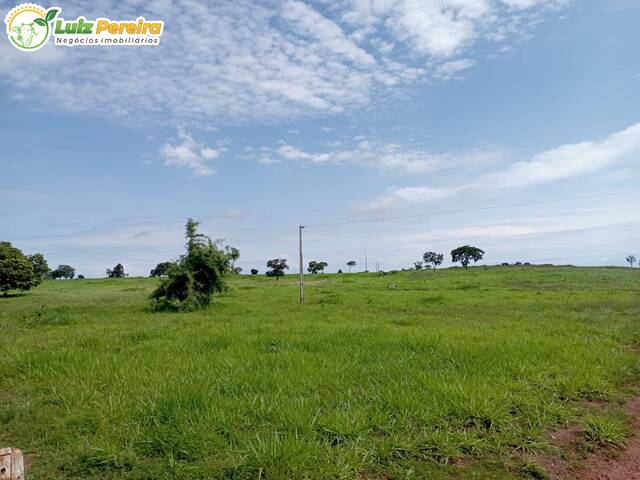 #2464 - Fazenda para Venda em Dois Irmãos do Tocantins - TO - 2