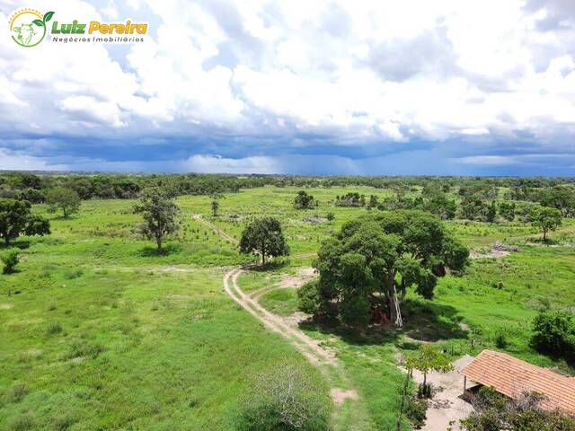 #2466 - Fazenda para Venda em Corumbá - MS - 3