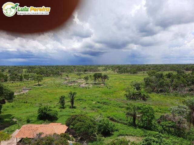 #2466 - Fazenda para Venda em Corumbá - MS - 2