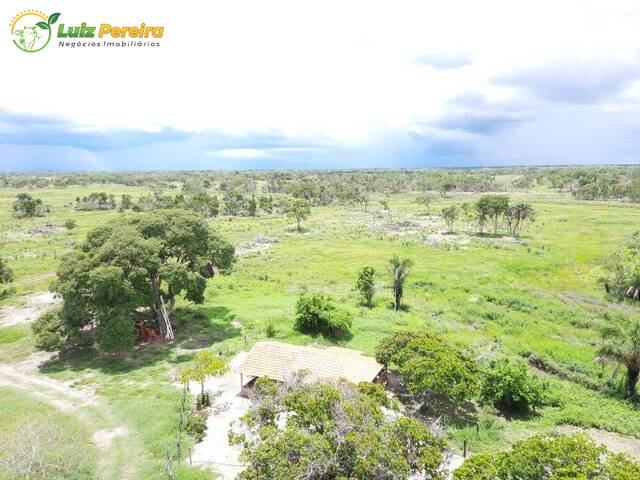 #2466 - Fazenda para Venda em Corumbá - MS - 1