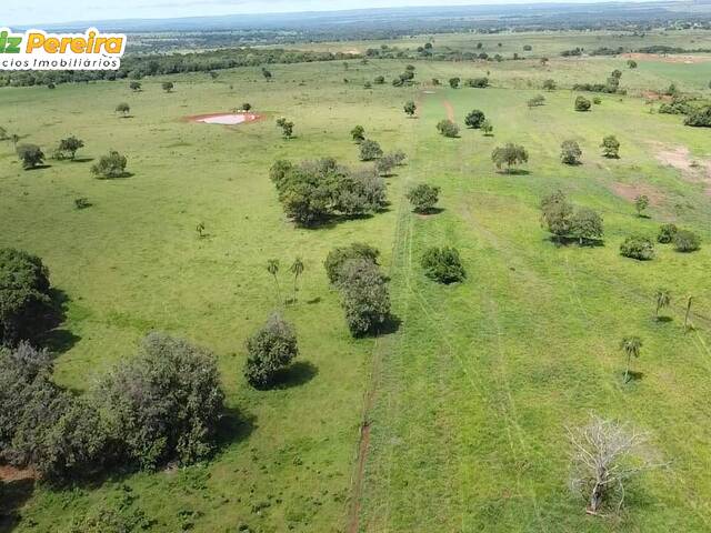 #2467 - Fazenda para Venda em Pedro Gomes - MS - 2