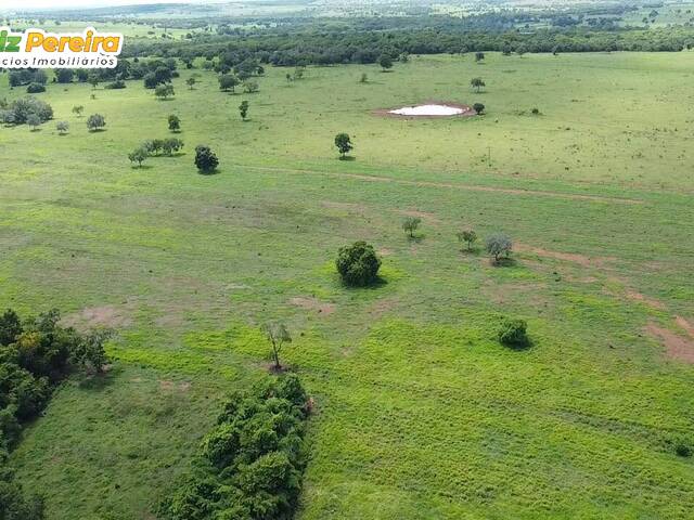 #2467 - Fazenda para Venda em Pedro Gomes - MS - 3