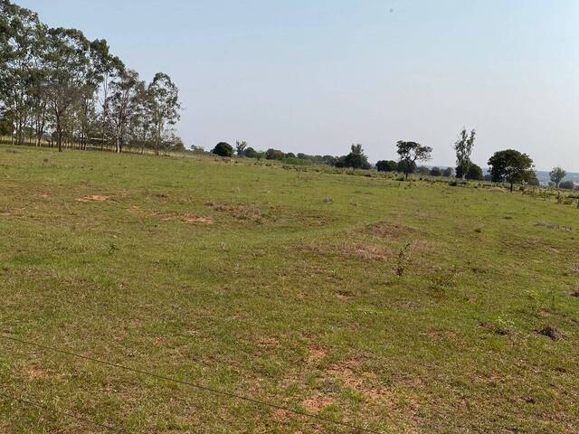 #2468 - Fazenda para Venda em Ribas do Rio Pardo - MS - 1