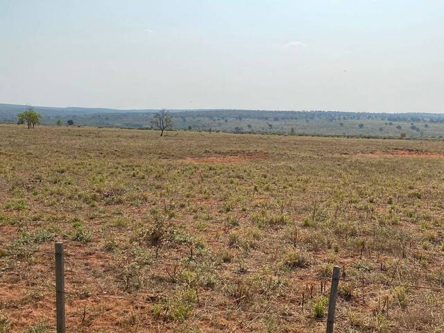 #2468 - Fazenda para Venda em Ribas do Rio Pardo - MS - 2