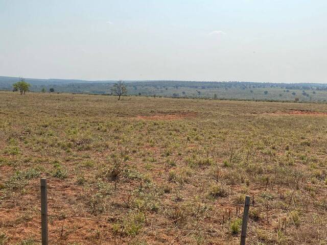 #2468 - Fazenda para Venda em Ribas do Rio Pardo - MS - 2